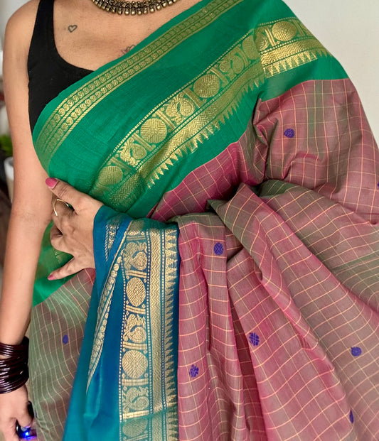 Kanchi cotton saree, light brown checks with green and peacock blue dual toned border - YCCOTNAP77