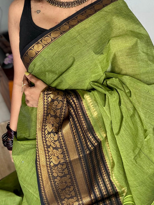 Light green with black wide contrast border, kanchi cotton - YCCOTNKCDE84