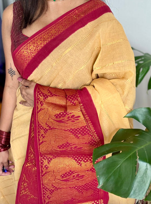 Sandal with red contrast wide border sungudi, kattuchayam dyed madurai cotton - YCIEON92