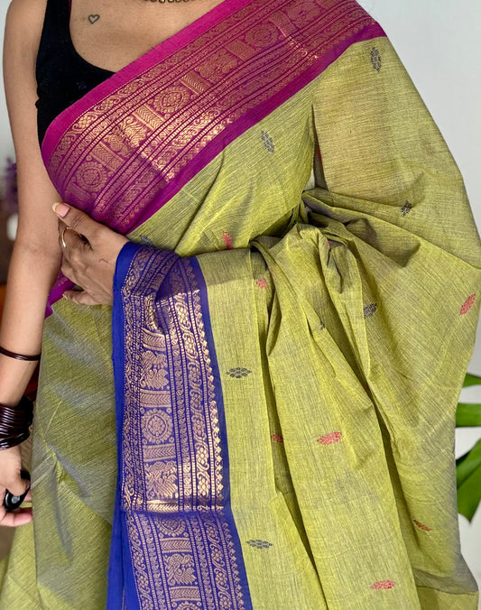 Green with magenta pink and royal blue contrast, kanchi cotton saree - YCCOTNMA326