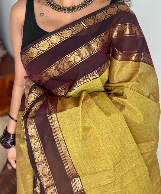 Lemon ginger green with brown contrast border, kanchi cotton - YCCOTNOCCC04