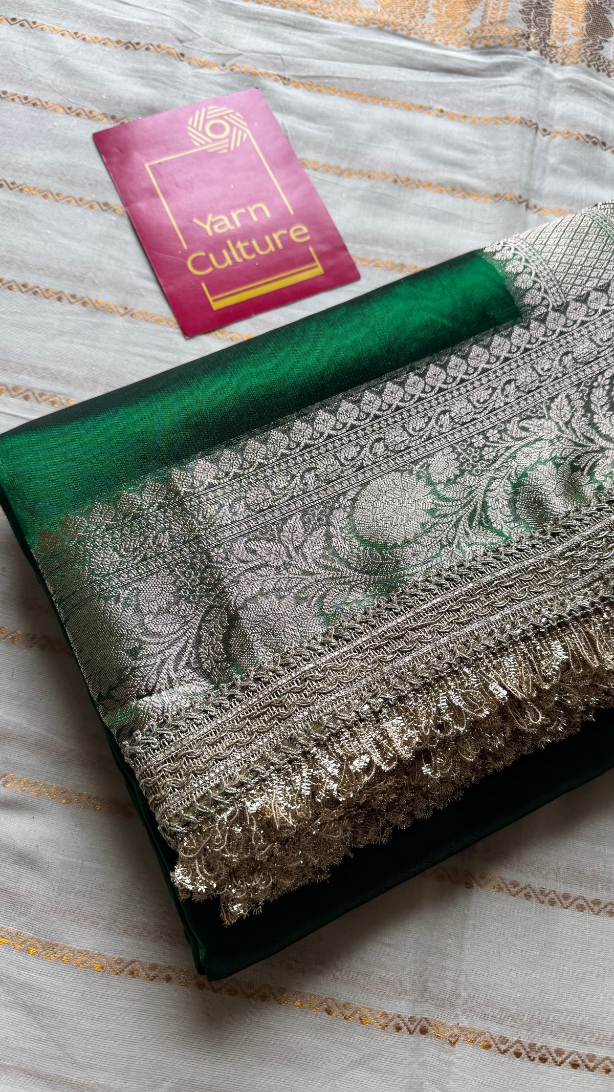 Green tissue Banarasi saree with embellished gold lace border - YCBLTOC76