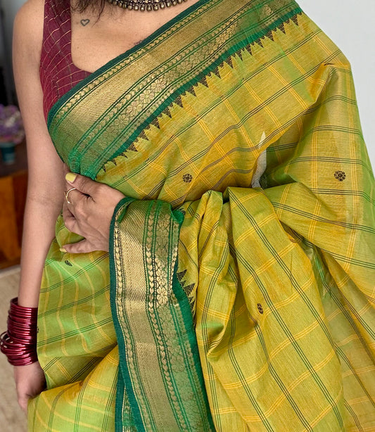 Light green Kanchi cotton saree with striped checks, woven buttas and dark green zari border - YCCOTNCCFE160