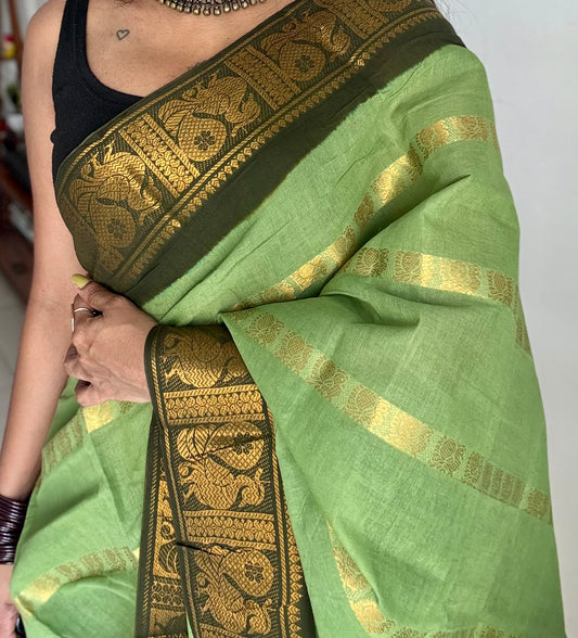 Light pista green with dark green, multi peacock motif lines, kattuchayam dyed sungudi cotton - YCCOTNJUCC13