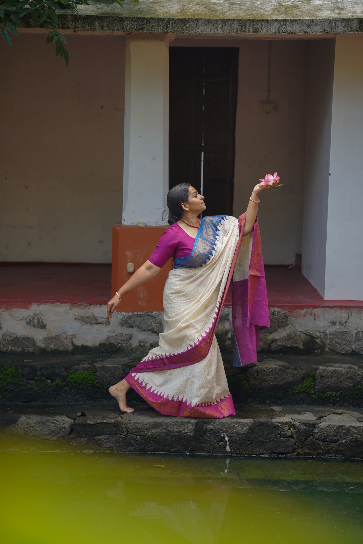 Sujina : Sungudi cotton checks, ivory gold base, purple and blue dual tone border, soft cotton - YCONCOTN210