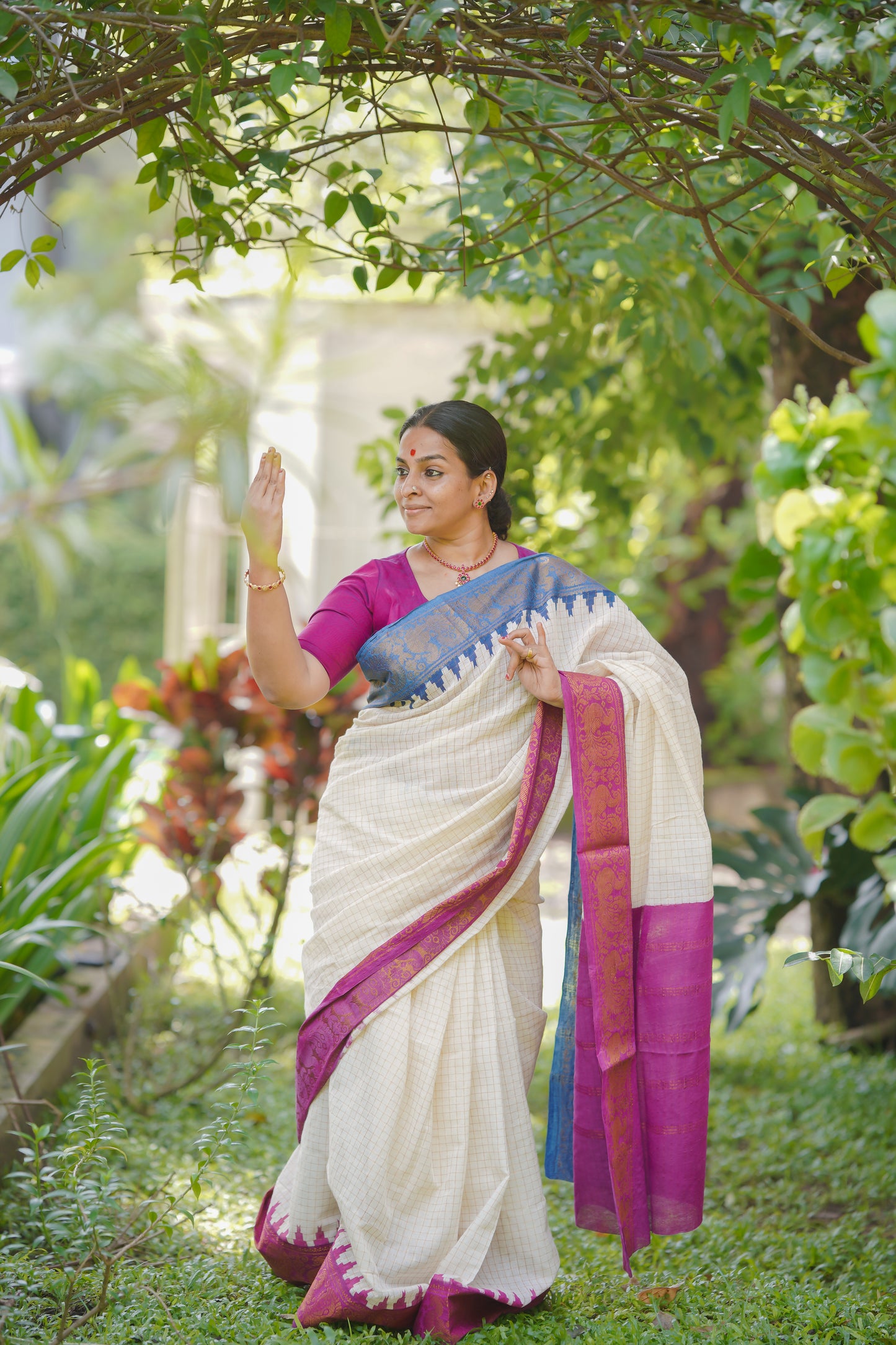 Sujina : Sungudi cotton checks, ivory gold base, purple and blue dual tone border, soft cotton - YCONCOTN210