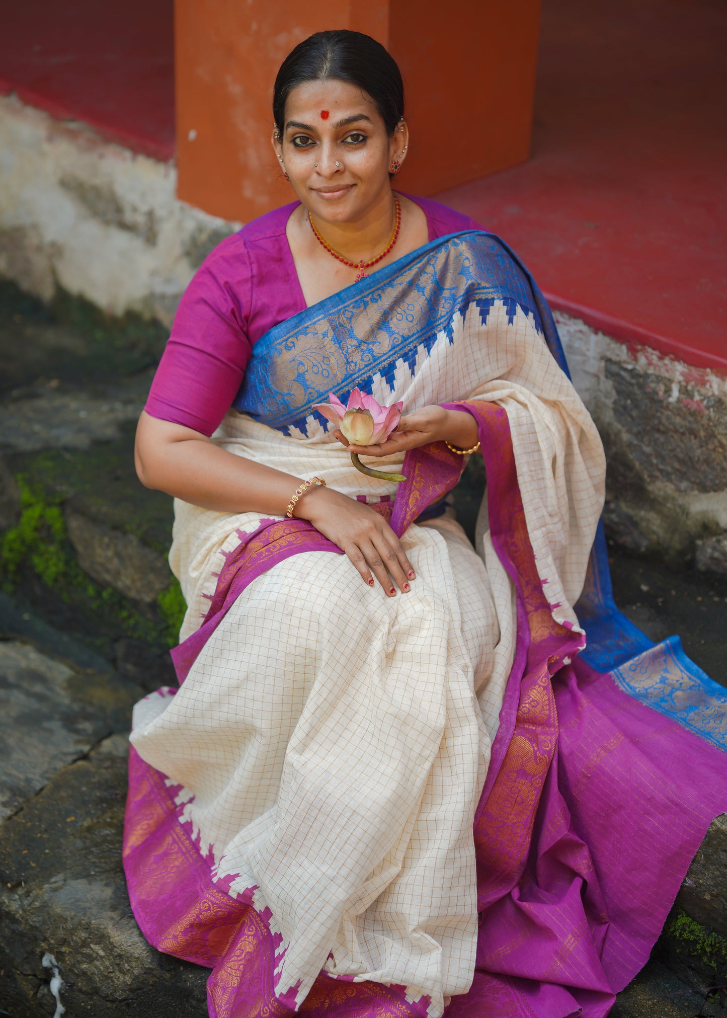 Sujina : Sungudi cotton checks, ivory gold base, purple and blue dual tone border, soft cotton - YCONCOTN210