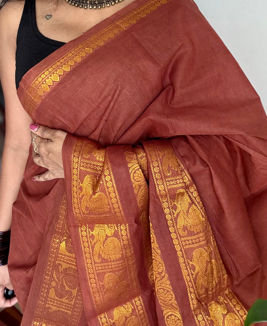 Brown long border sungudi, kattuchayam dyed madurai cotton - YCCOTNMSAP135