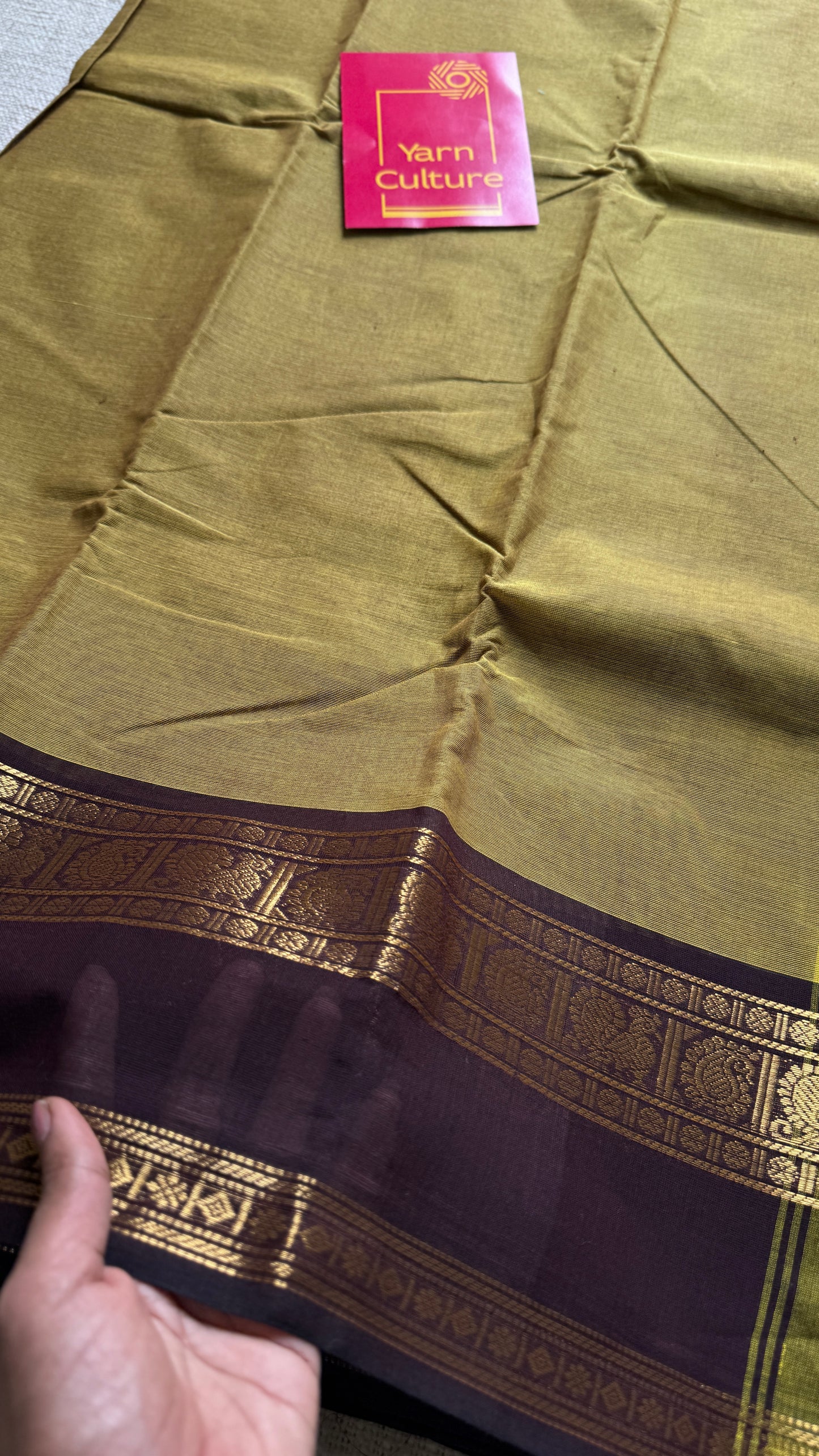 Light Green with Brown Contrast Border - Chettinad Cotton