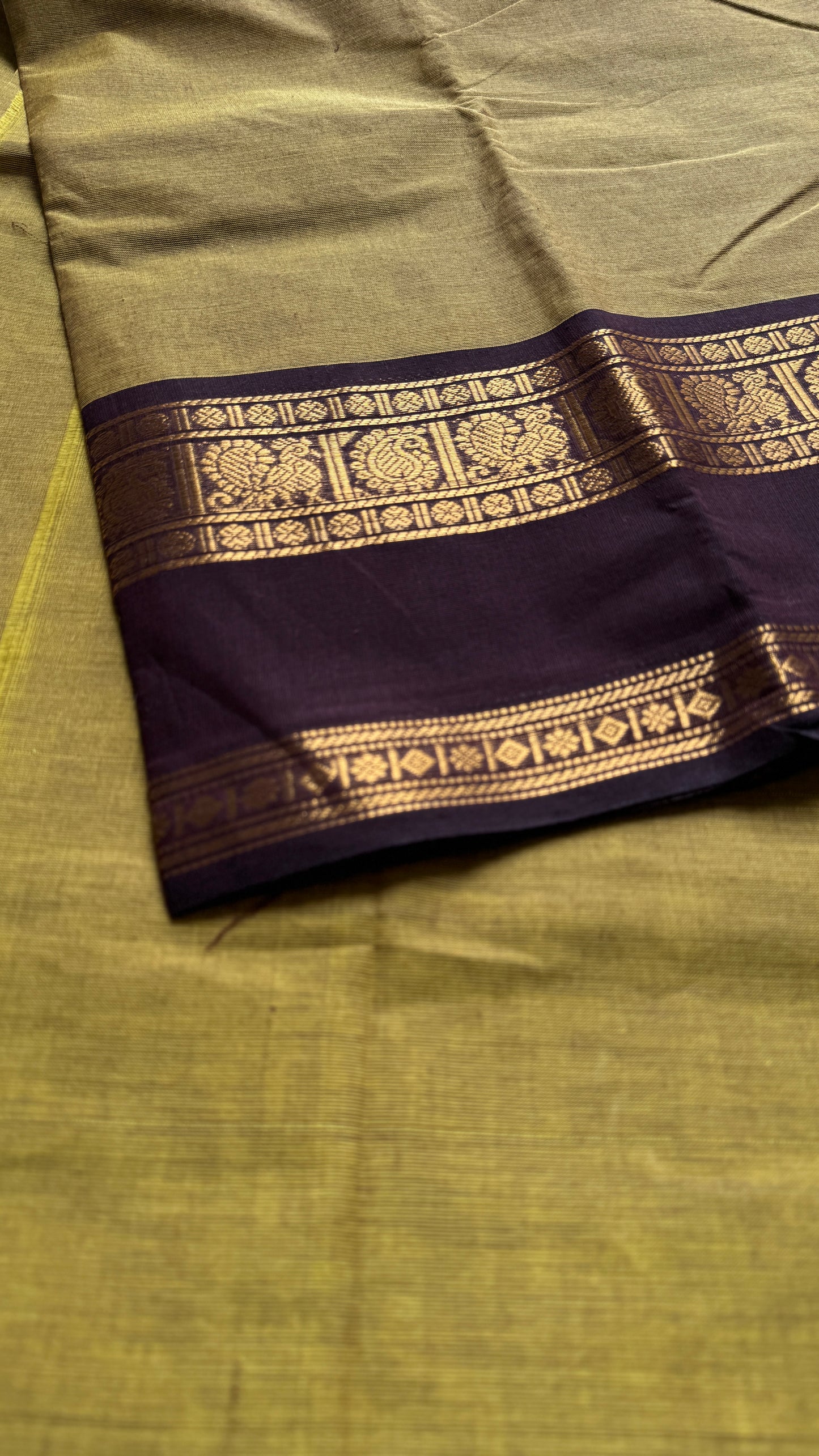 Light Green with Brown Contrast Border - Chettinad Cotton