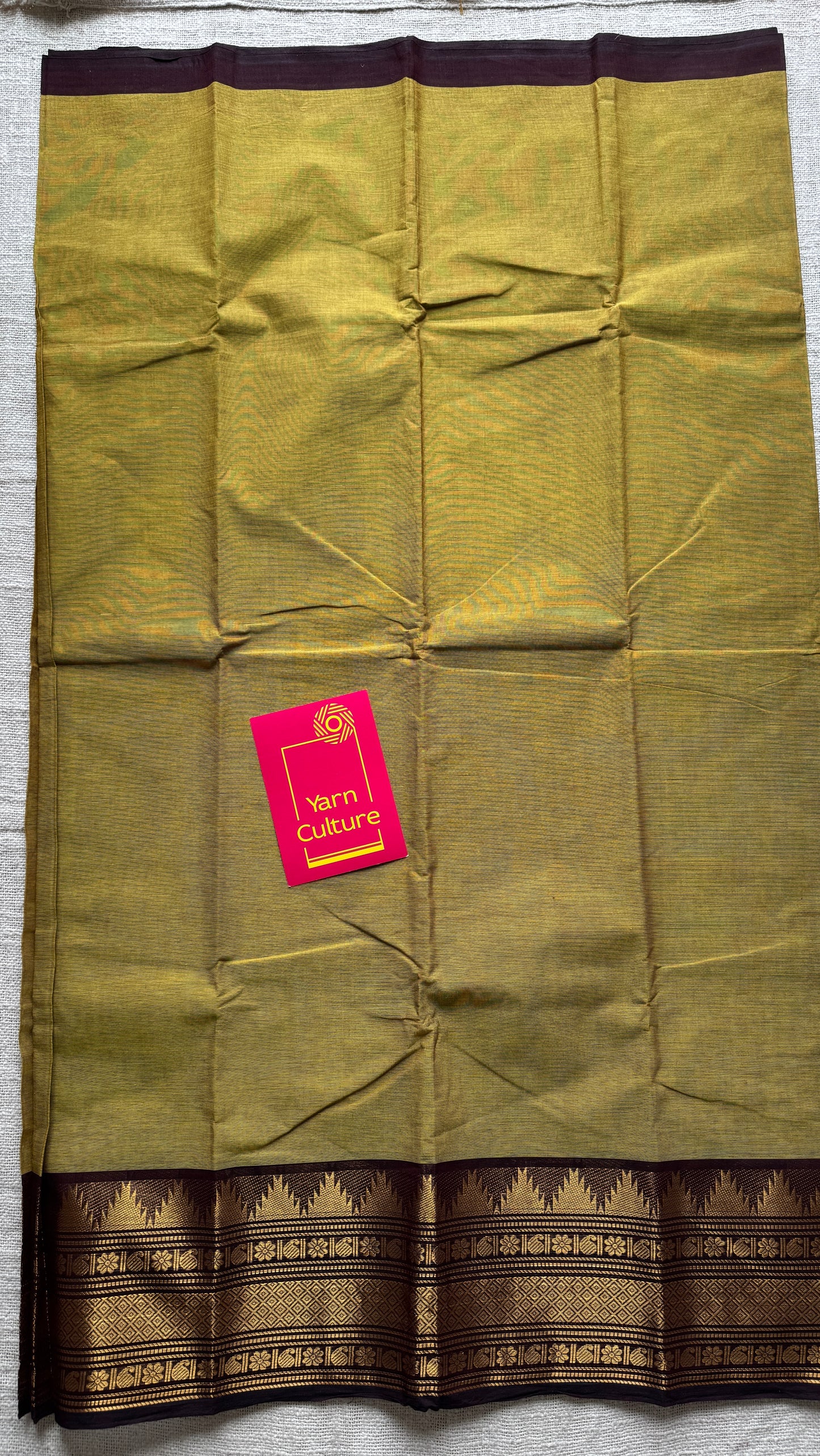 Light Green with Brown Contrast Border (single side) - Chettinad Cotton - YCCOTNCLWB06