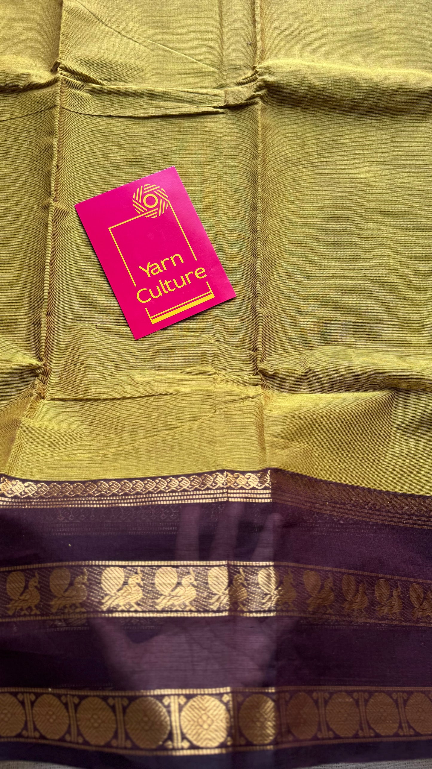 Lemon ginger green with brown contrast border, kanchi cotton - YCCOTNOCCC04