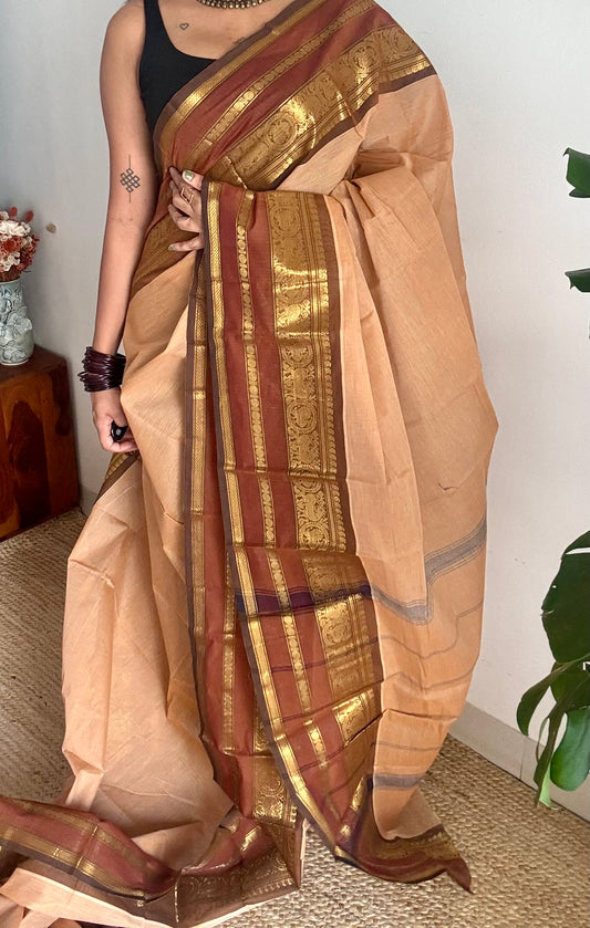 Sandal with brown gap zari border, chettinad cotton saree - YCCOTNCCOC120