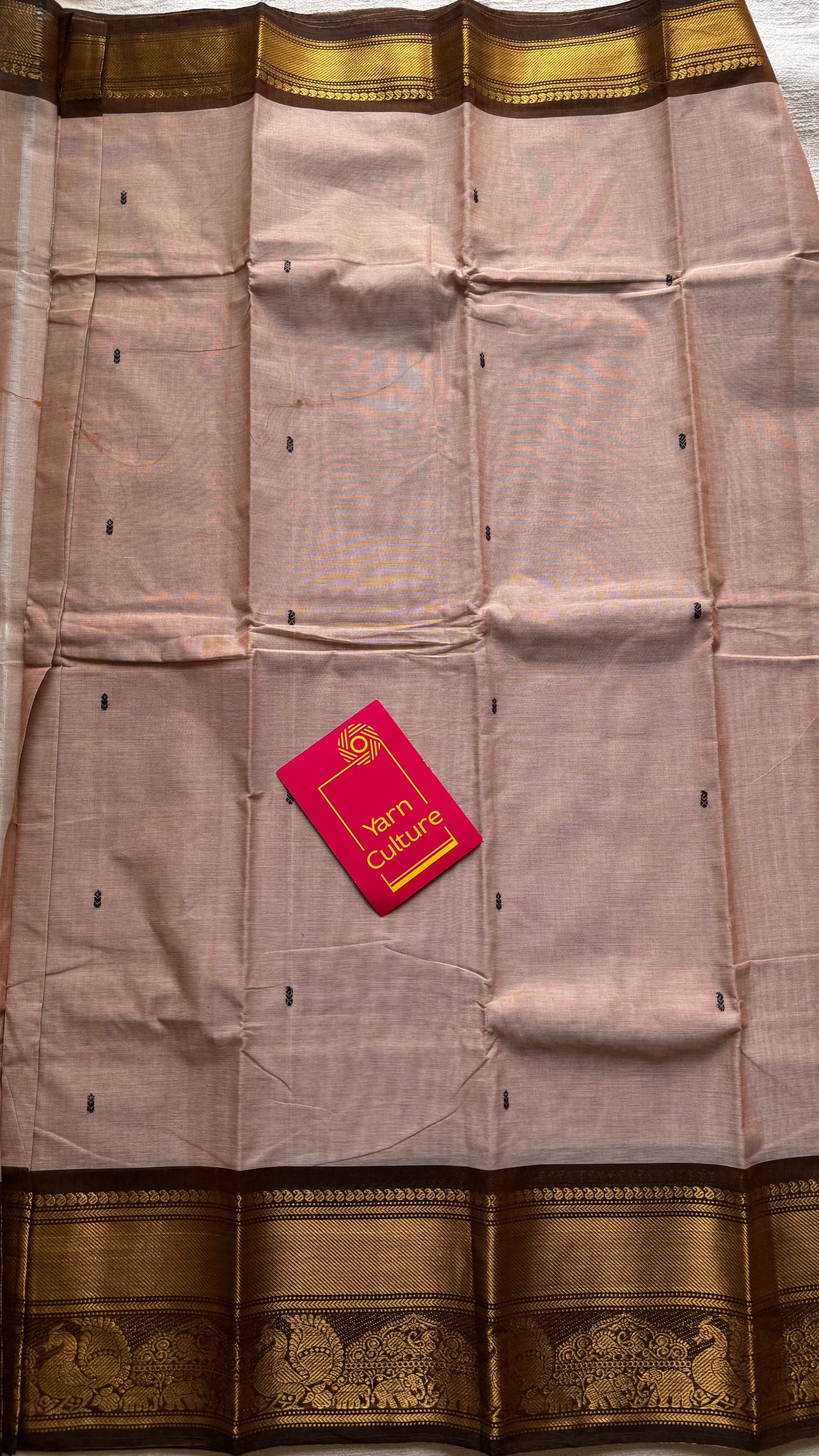 Kanchi cotton saree,dark beige with brown gold zari border - YCCOTNAP82