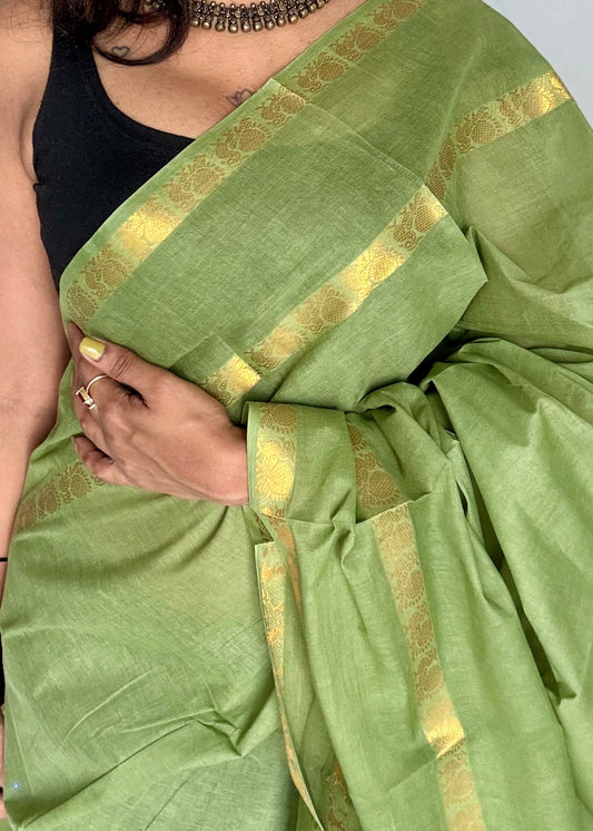 Sage green rettaipettu peacock double bordered, kattuchayam dyed madurai cotton saree - YCCOTNMSFE252