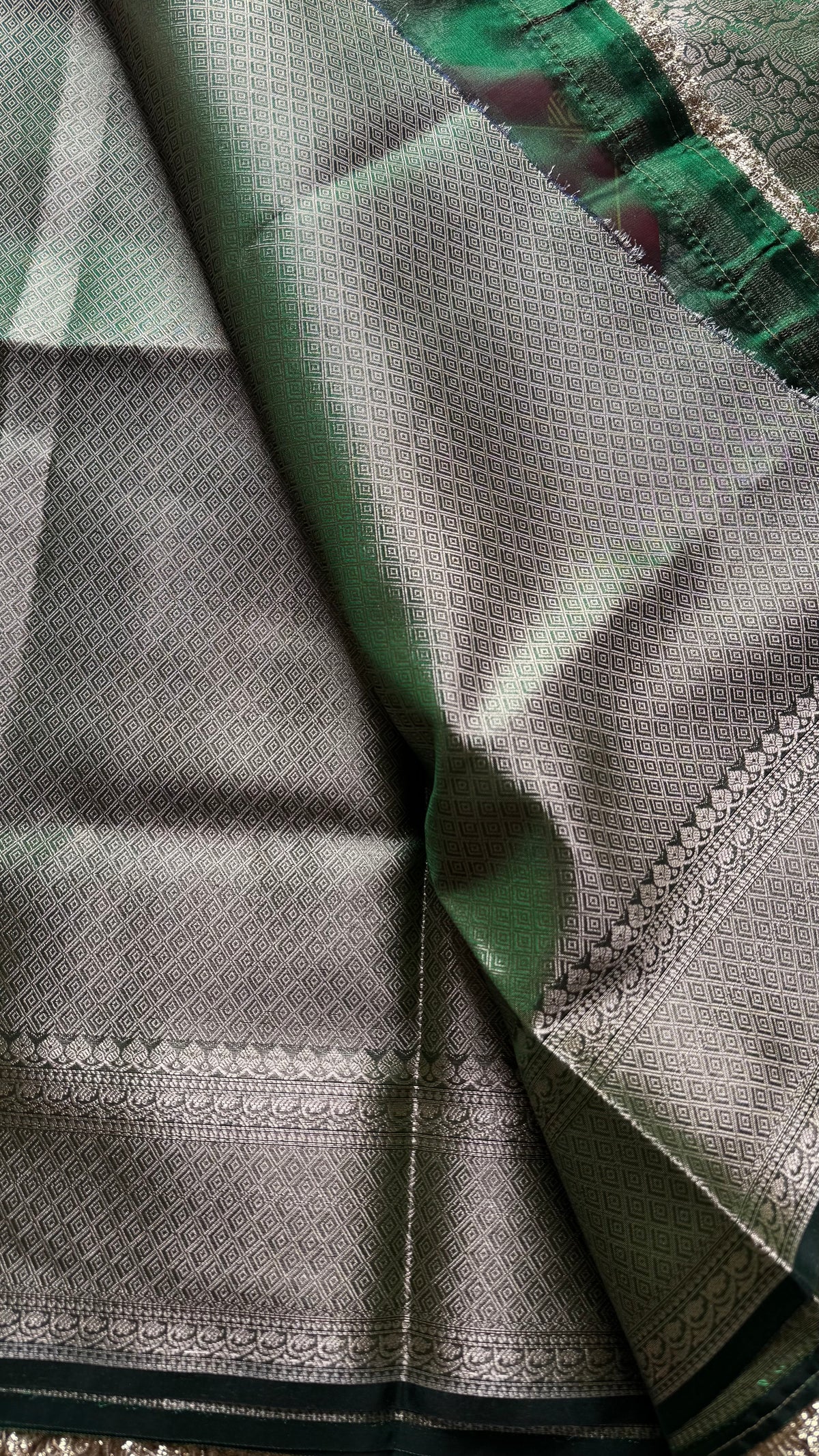 Green tissue Banarasi saree with embellished gold lace border - YCBLTOC76