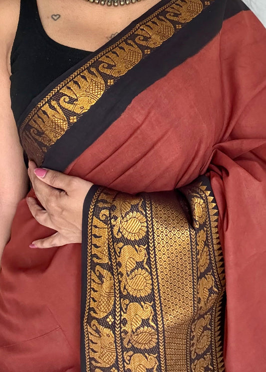 Brown long border sungudi with black contrast, kattuchayam dyed madurai cotton - YCCOTNMSAP129