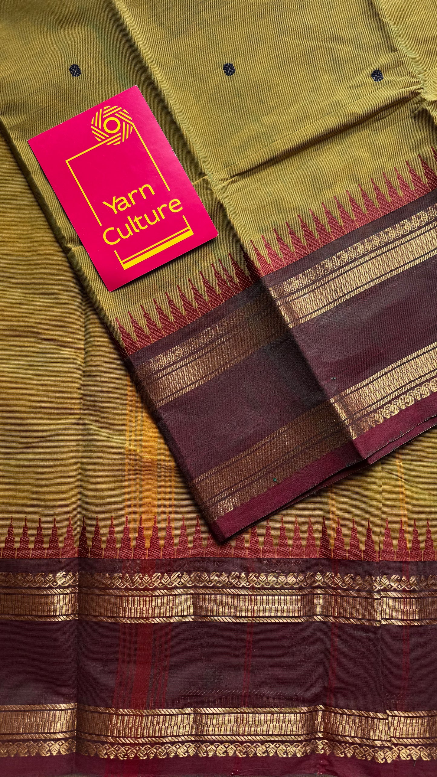 Kanchi cotton saree, light green with brown border - YCCOTNAP85