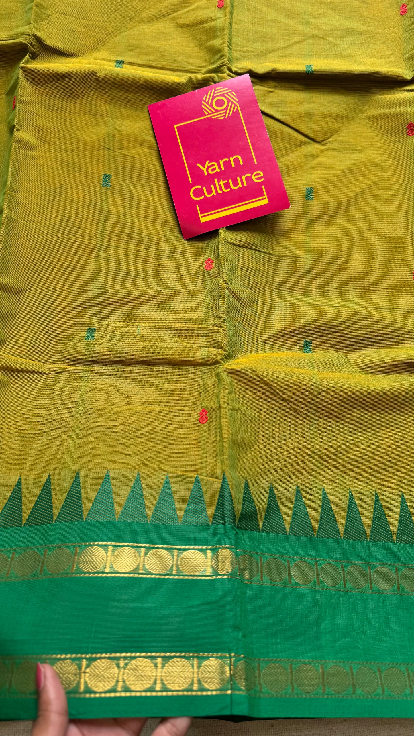 Kanchi cotton saree, light green with light brown and green dual border - YCCOTNAP101