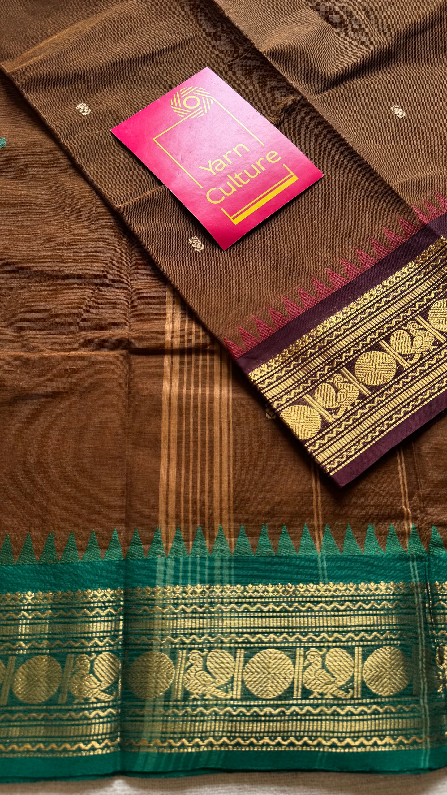 Kanchi cotton saree, brown with dark brown and green dual border - YCCOTNAP94