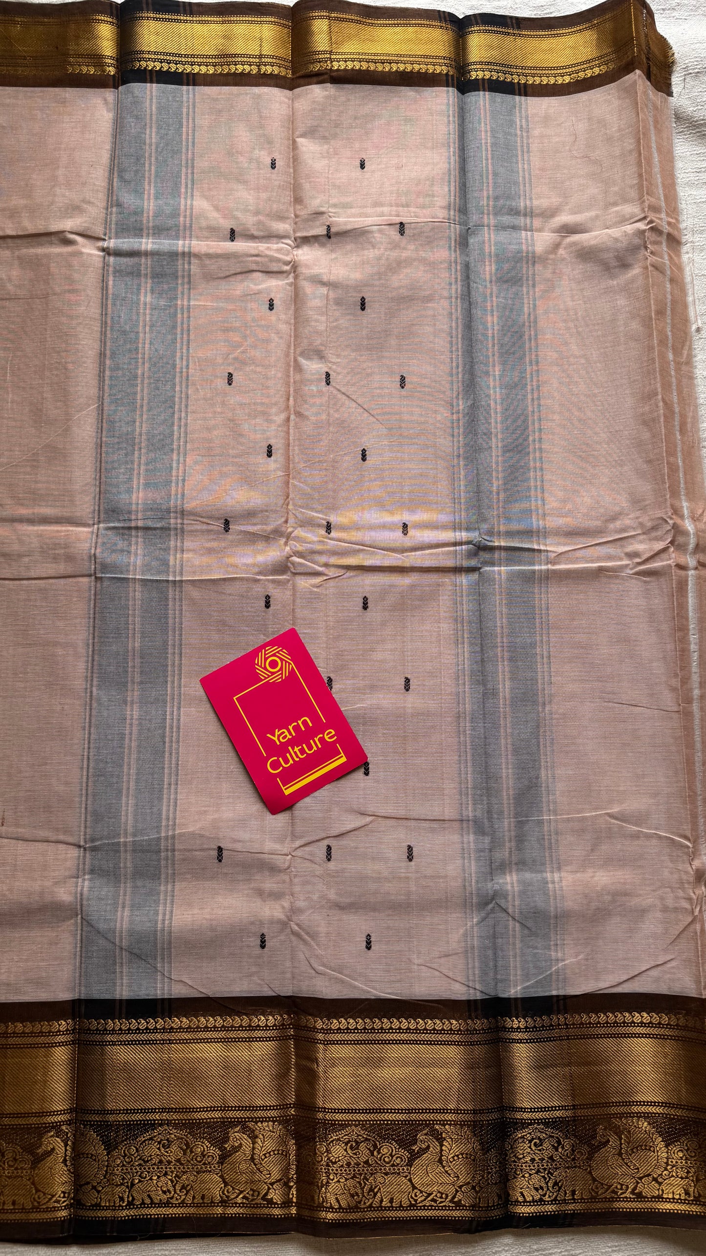 Kanchi cotton saree,dark beige with brown gold zari border - YCCOTNAP82