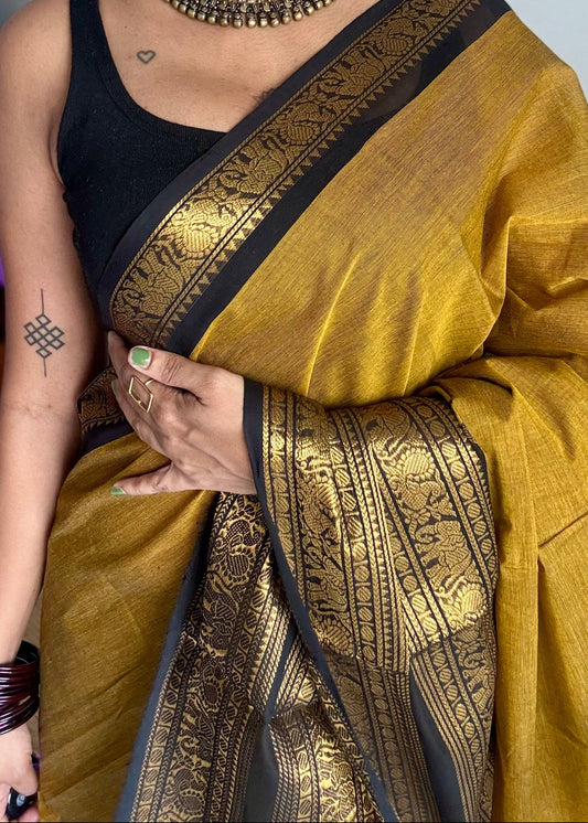 Ginger yellow with black long zari border, kanchi cotton saree - YCCOTNCCOC114
