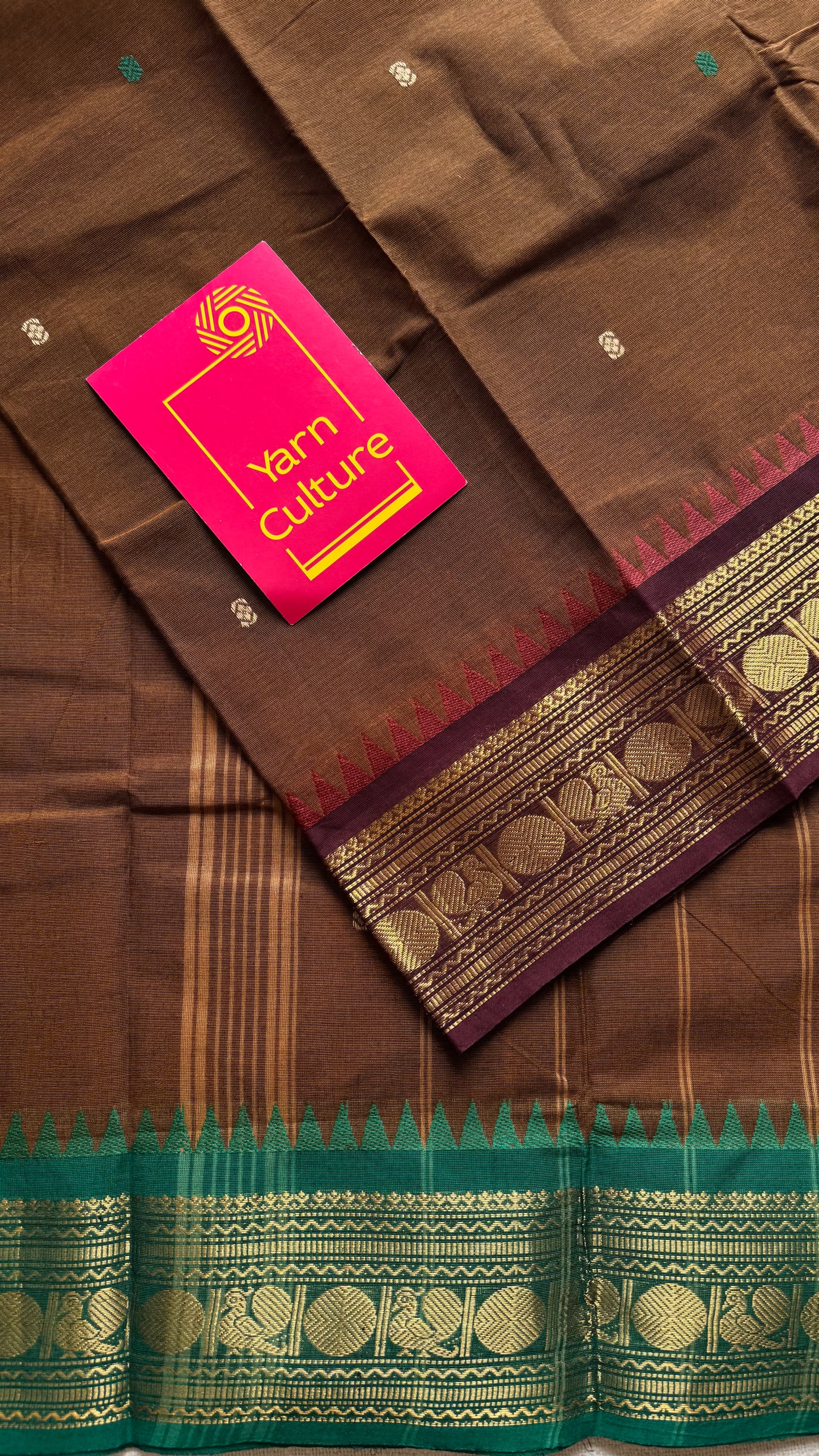 Kanchi cotton saree, brown with dark brown and green dual border - YCCOTNAP94