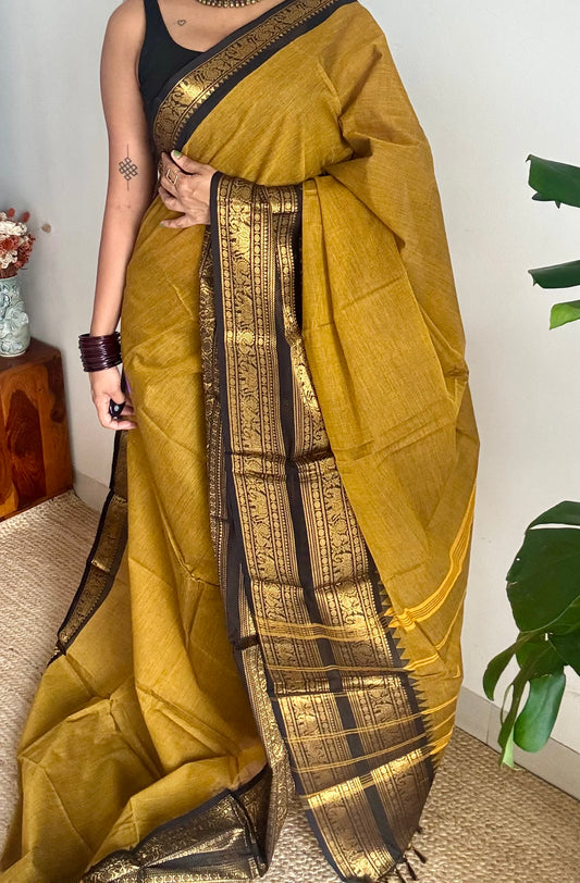 Ginger yellow with black long zari border, kanchi cotton saree - YCCOTNCCOC114