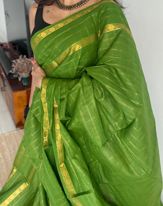 Green adayar gold zari kattam, sungudi cotton - YCCOTNOCSC46