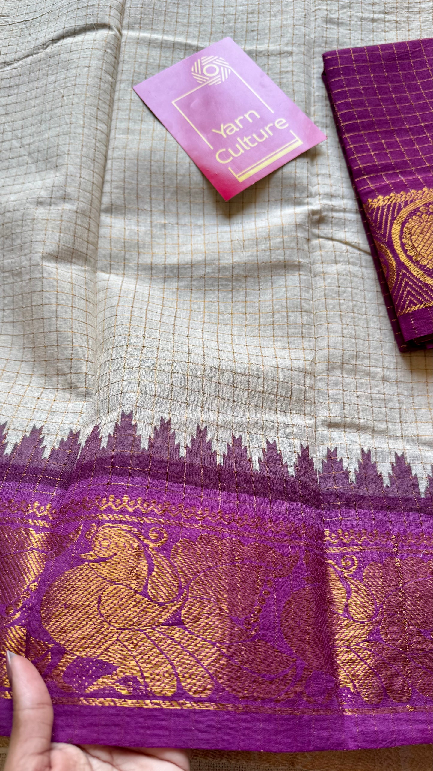 Sungudi cotton checks, ivory gold base, teal and magenta dual tone border, soft cotton - YCIEON101