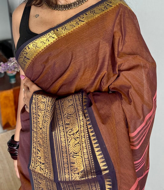 Brown with dark blue contrast, wide zari border, kanchi cotton - YCCOTNKCJA211