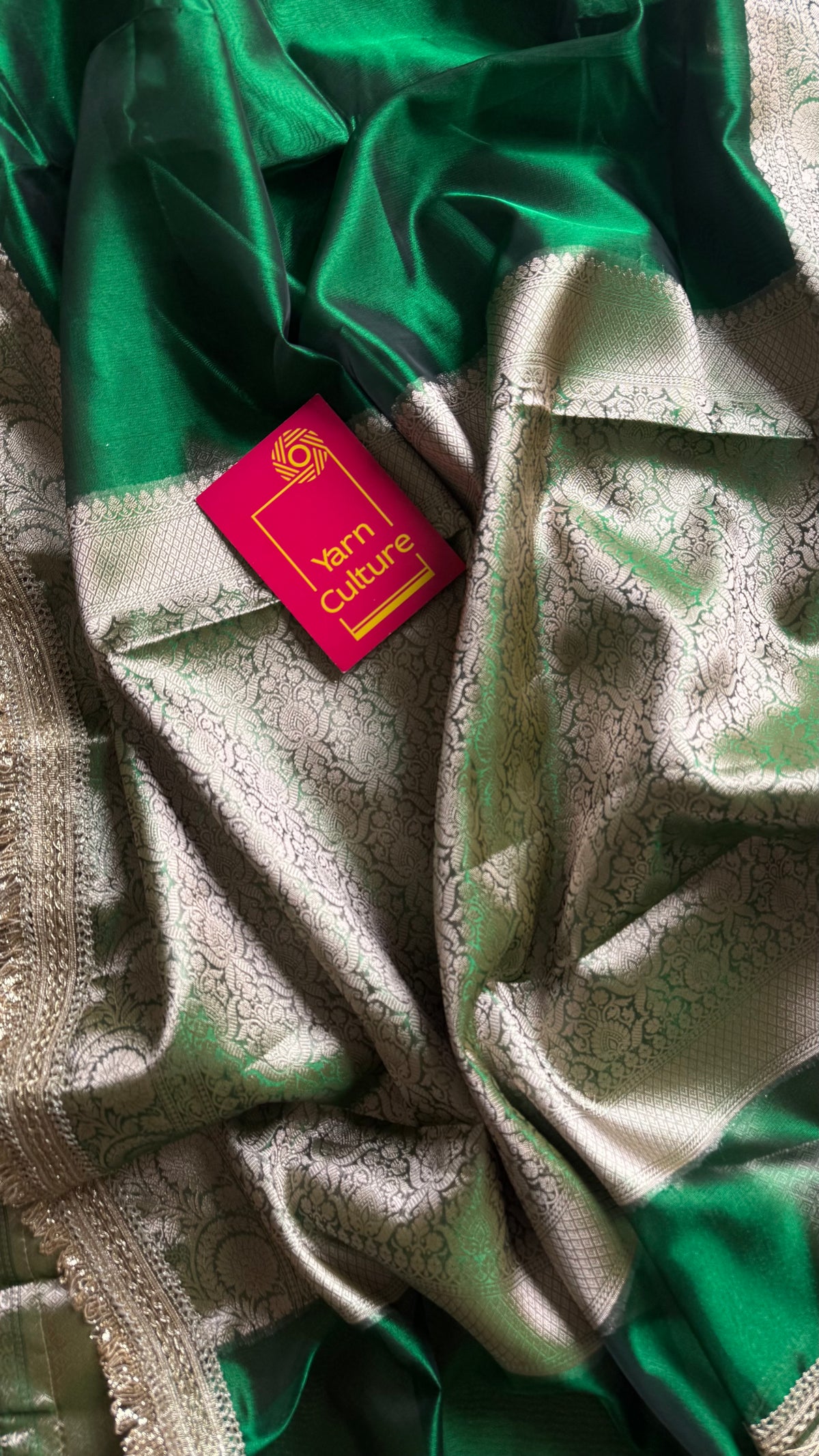 Green tissue Banarasi saree with embellished gold lace border - YCBLTOC76