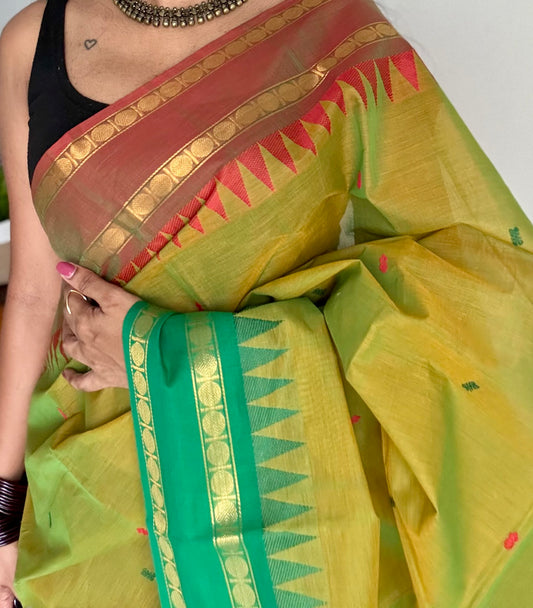 Kanchi cotton saree, light green with light brown and green dual border - YCCOTNAP101