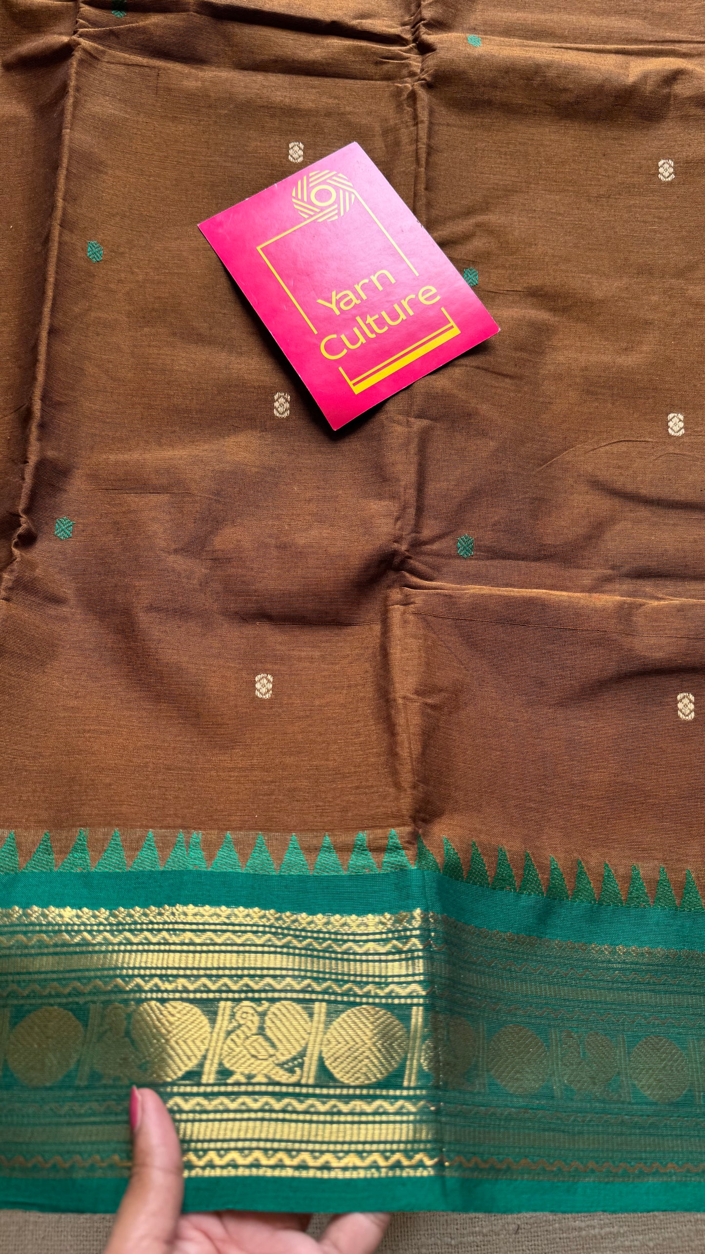 Kanchi cotton saree, brown with dark brown and green dual border - YCCOTNAP94