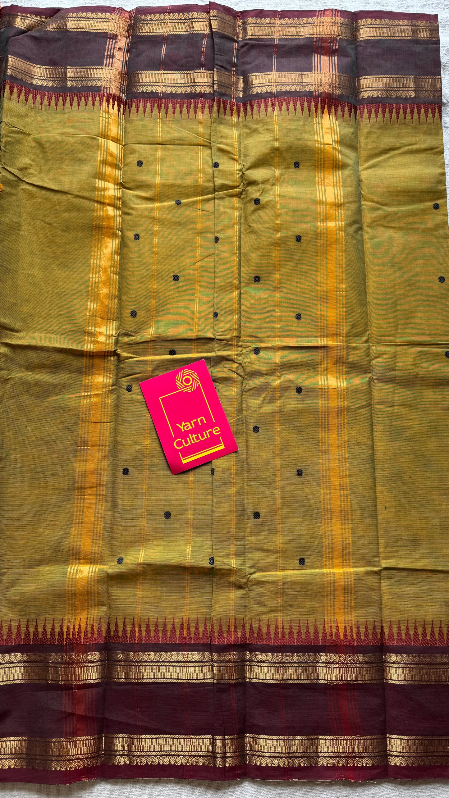 Kanchi cotton saree, light green with brown border - YCCOTNAP85