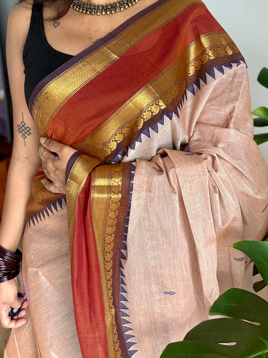 Beige with rust orange and brown zari border kanchi cotton saree - YCCOTNCKSE19
