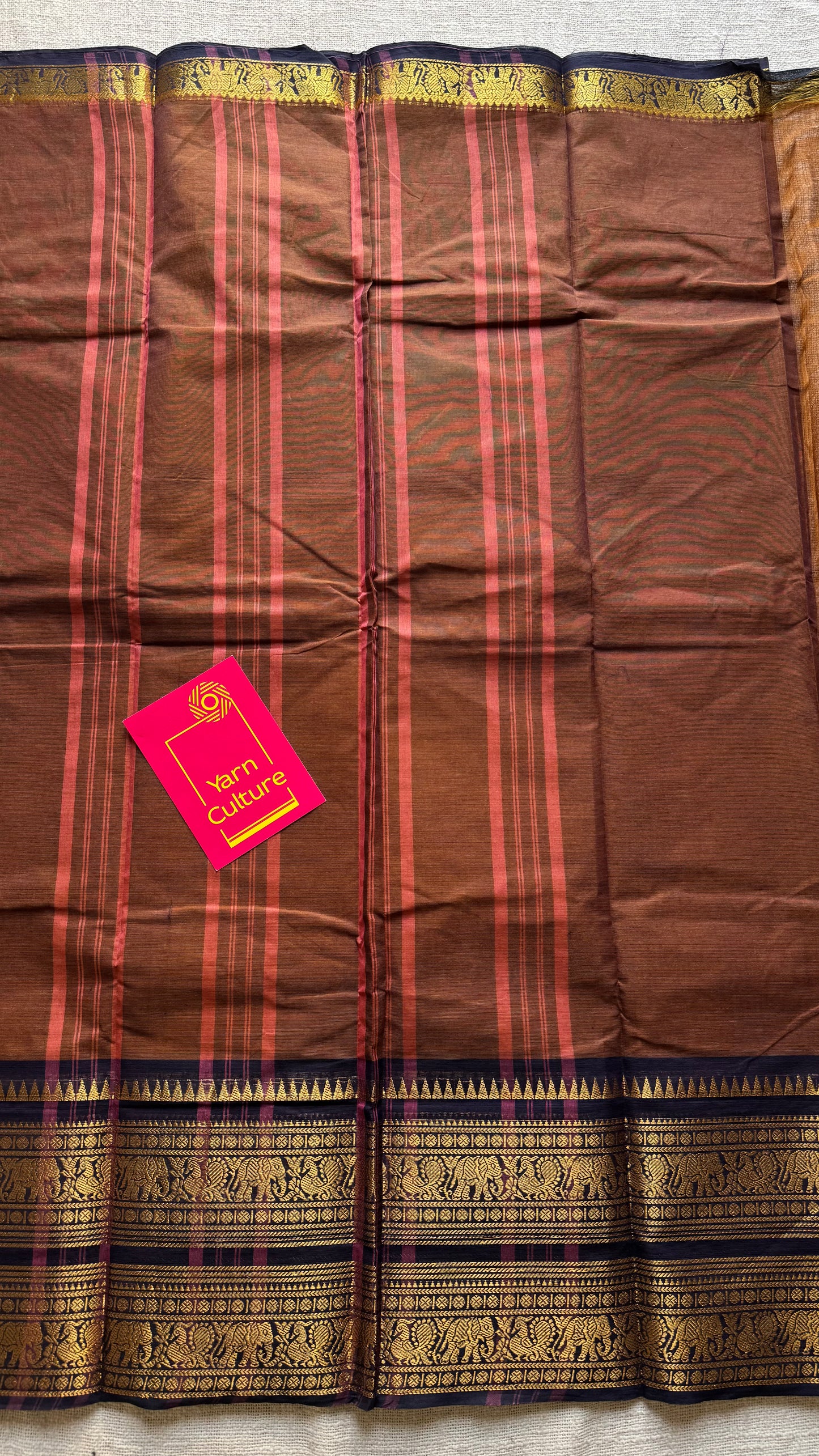 Brown with dark blue contrast, wide zari border, kanchi cotton - YCCOTNKCJA211