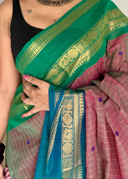 Kanchi cotton saree, light brown checks with green and peacock blue dual toned border - YCCOTNAP77