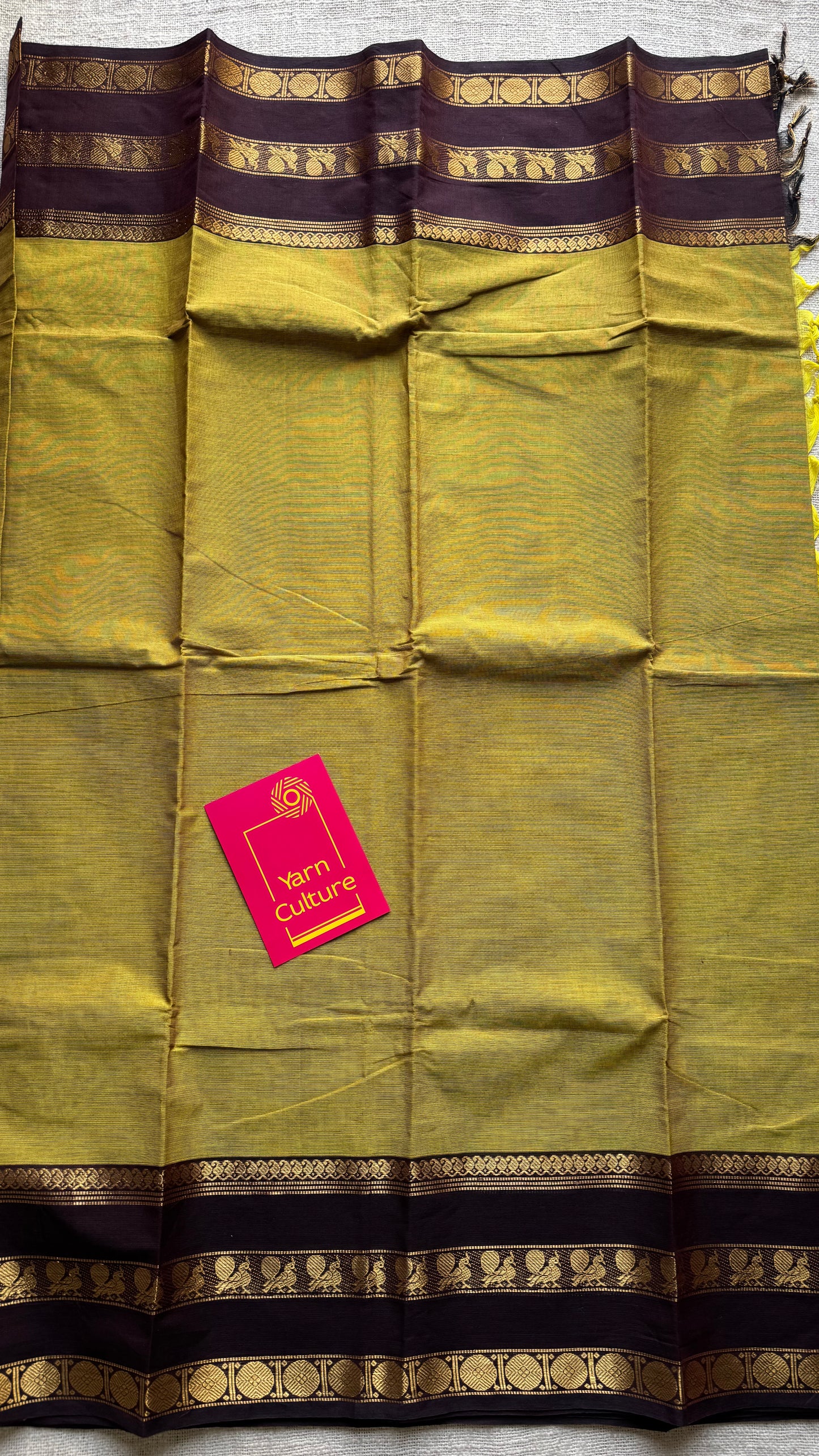 Lemon ginger green with brown contrast border, kanchi cotton - YCCOTNOCCC04
