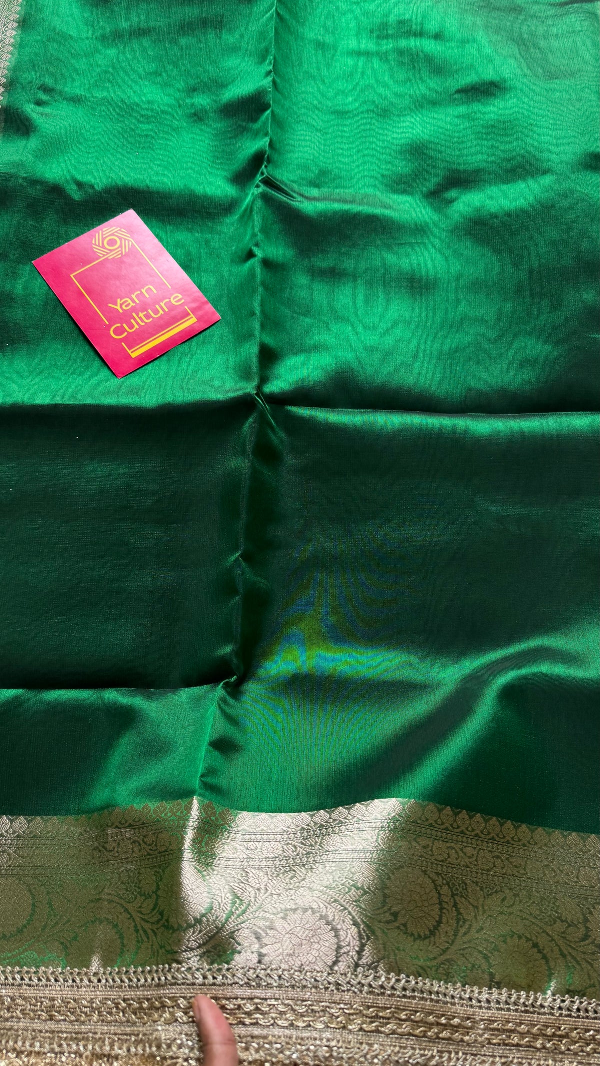 Green tissue Banarasi saree with embellished gold lace border - YCBLTOC76