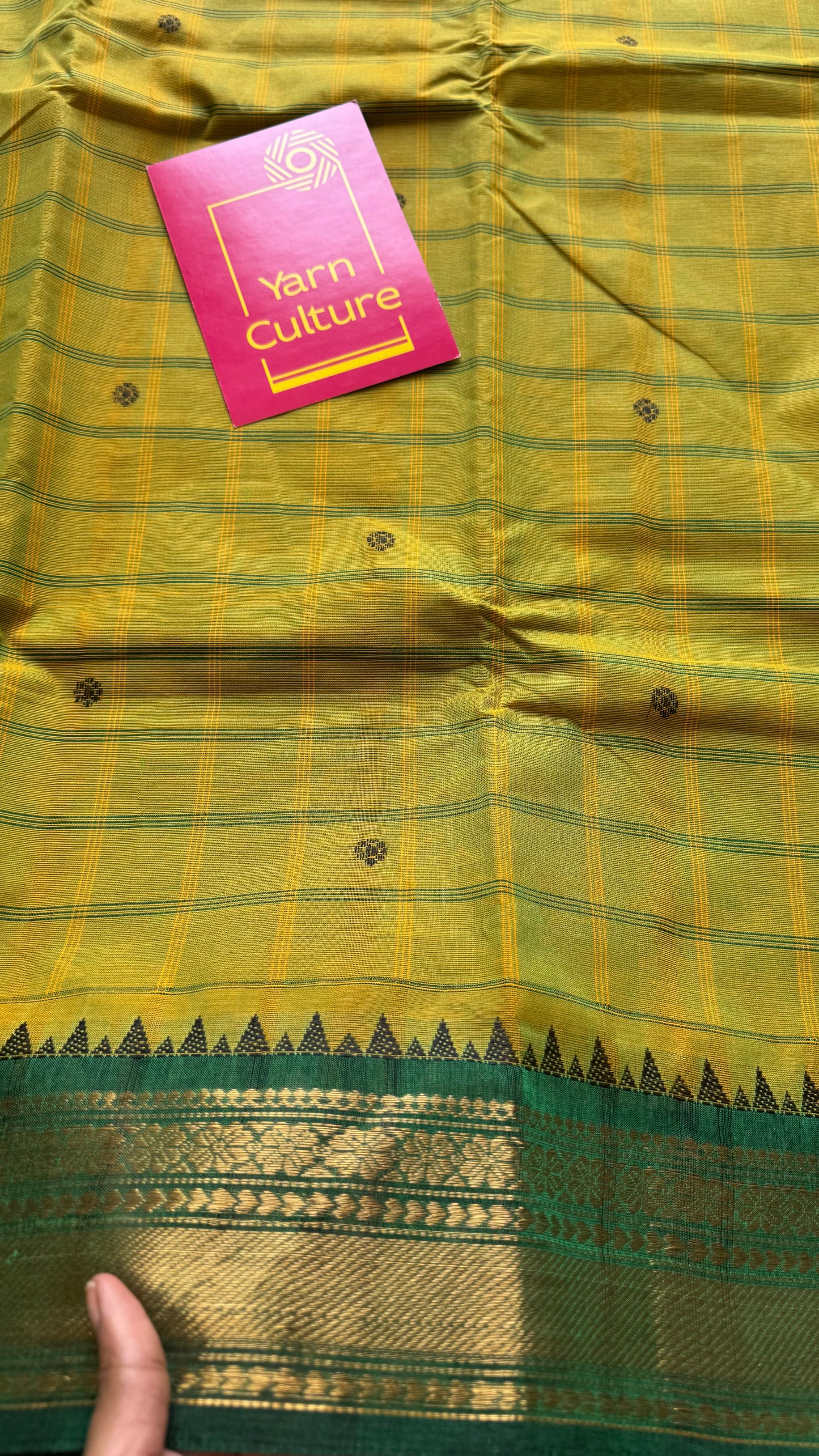 Light green Kanchi cotton saree with striped checks, woven buttas and dark green zari border - YCCOTNCCFE160