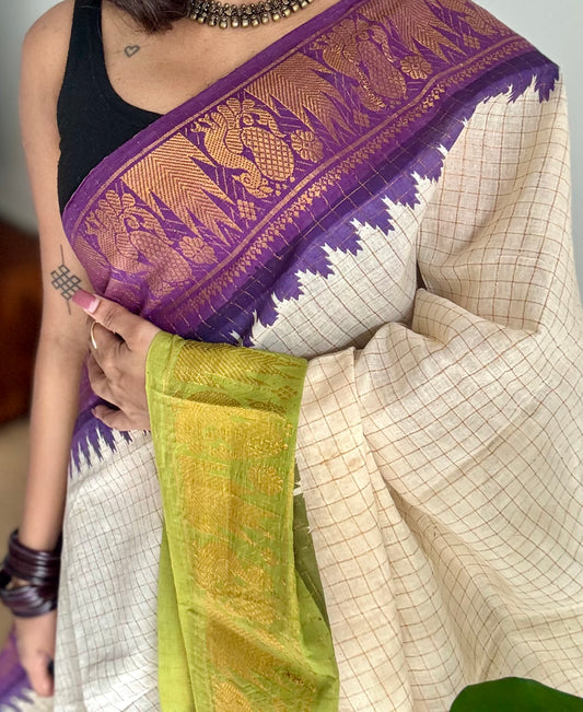 Sungudi cotton checks, ivory gold base, purple and lime green dual tone border, soft cotton - YCCOTNMSJUL08