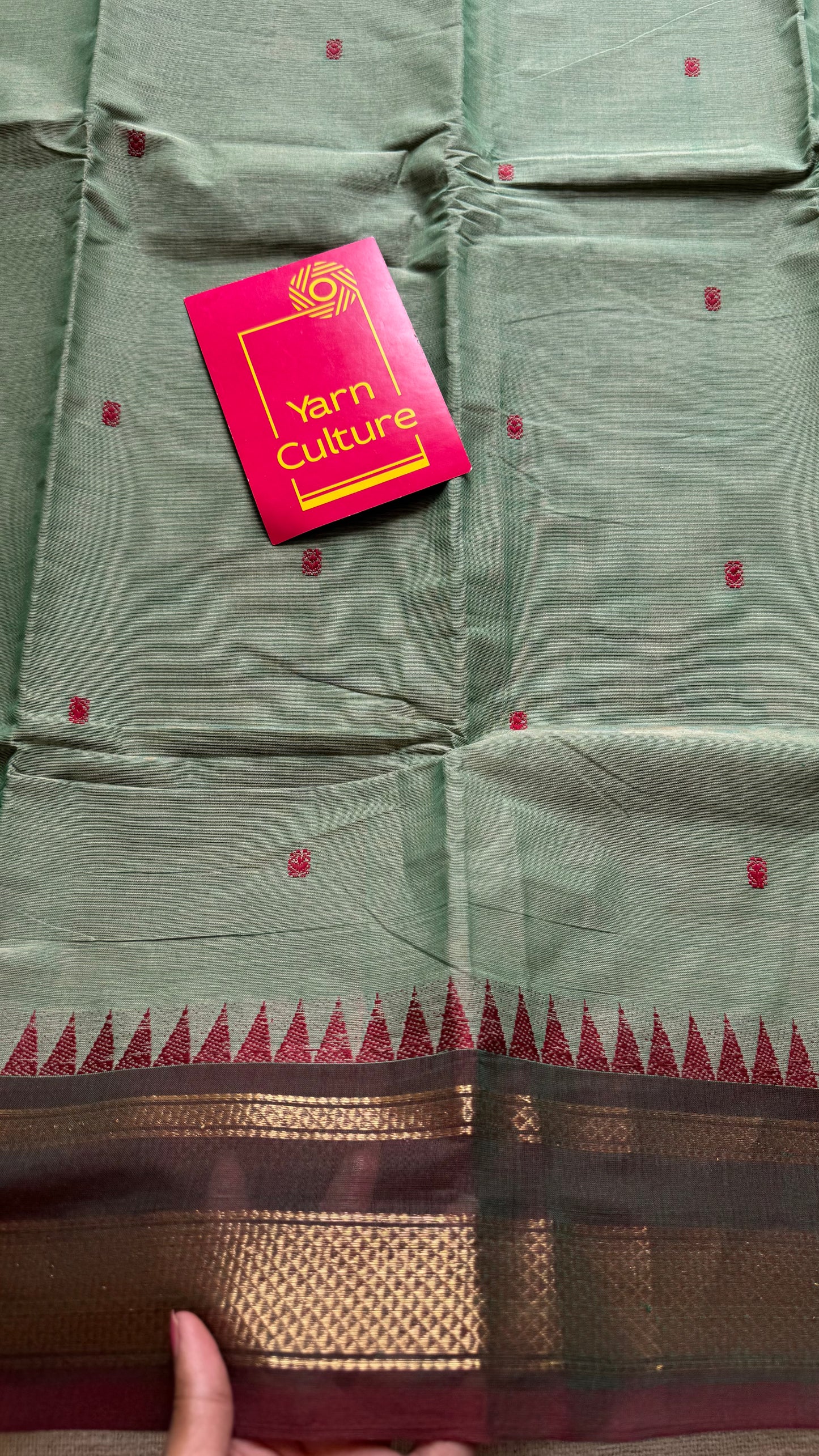 Kanchi cotton saree, mint green with brown khun inspired zari border - YCCOTNAP81