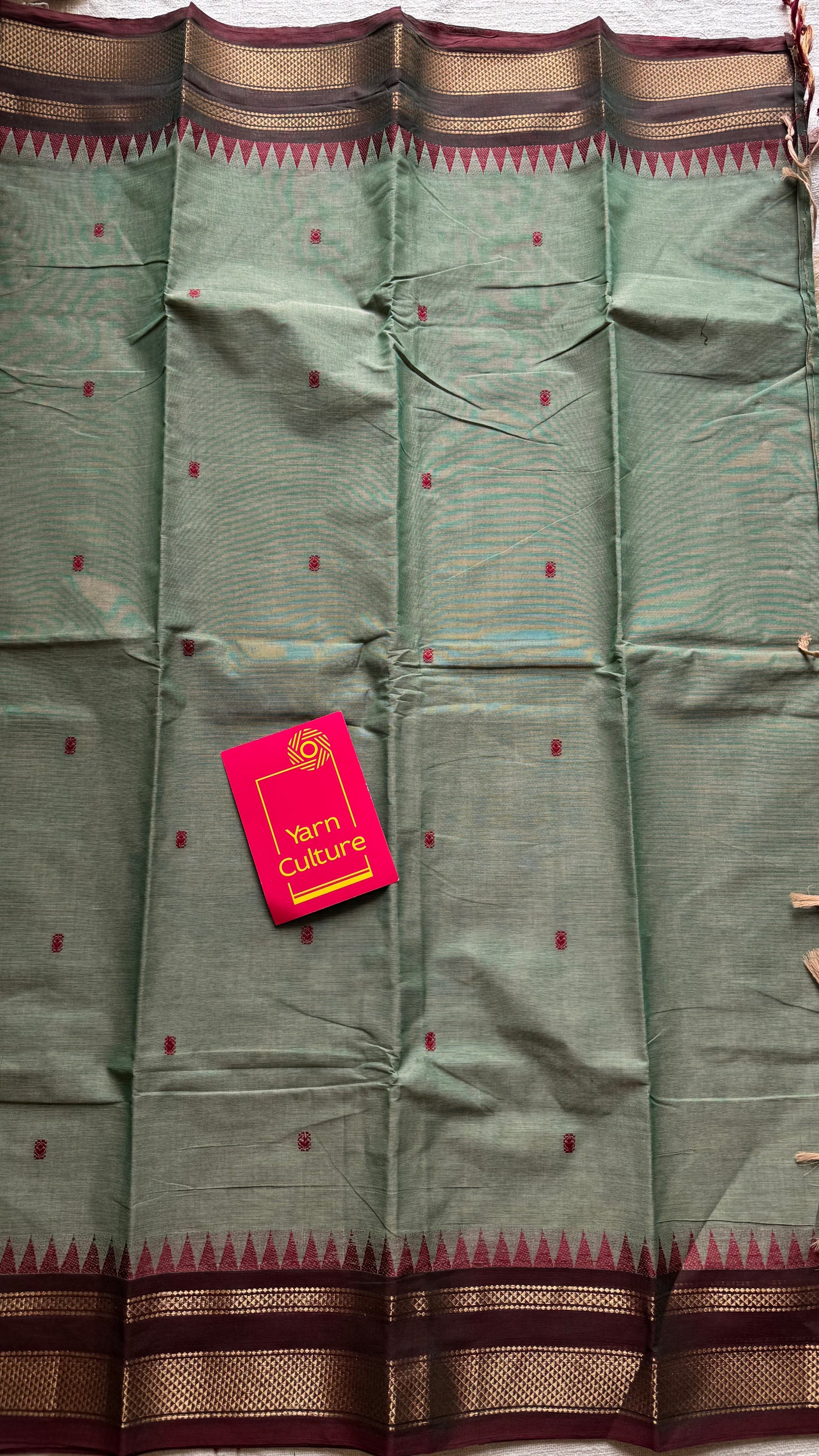 Kanchi cotton saree, mint green with brown khun inspired zari border - YCCOTNAP81