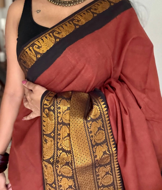 Brown long border sungudi with black contrast, kattuchayam dyed madurai cotton - YCCOTNMSAP129