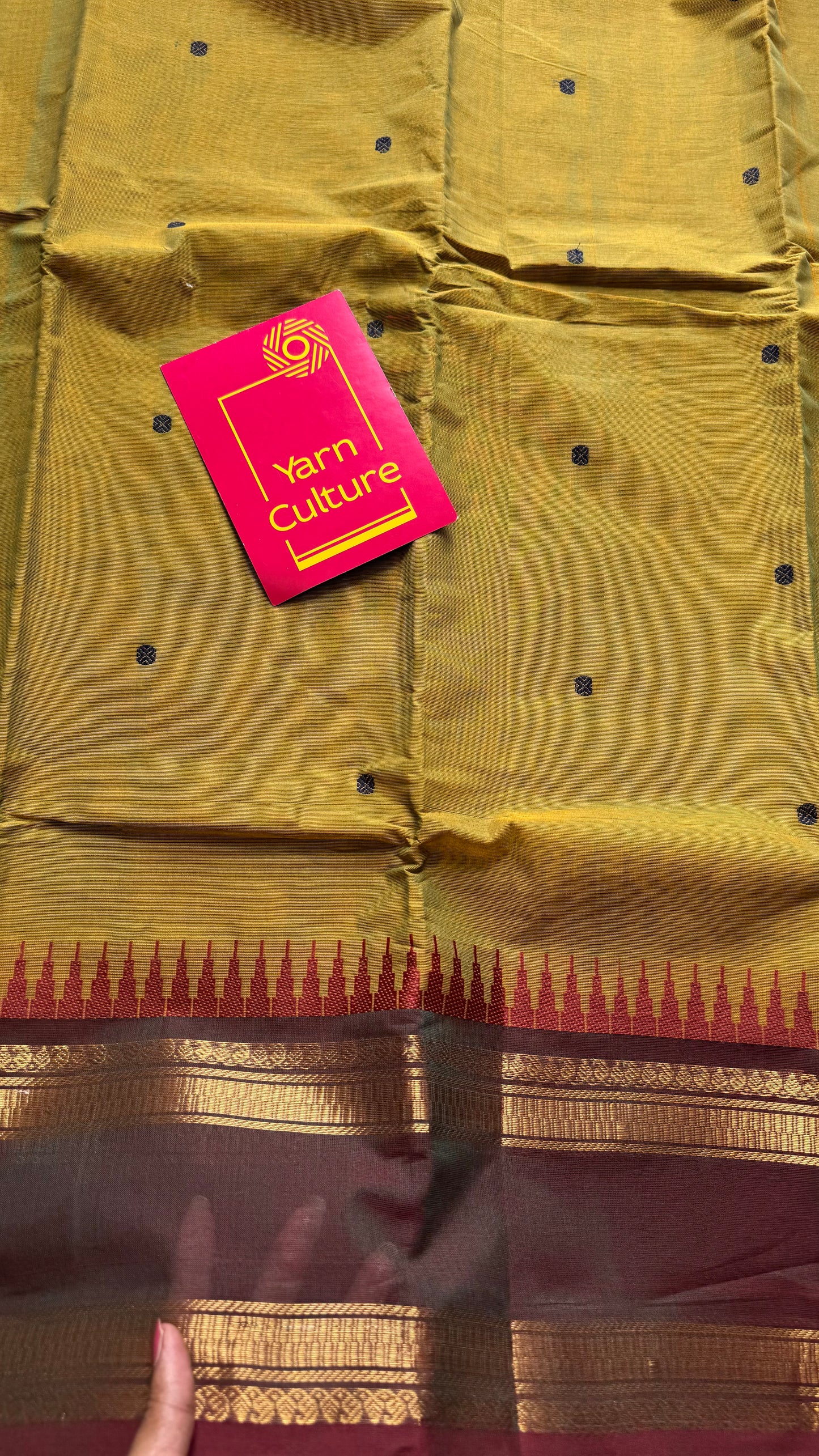 Kanchi cotton saree, light green with brown border - YCCOTNAP85
