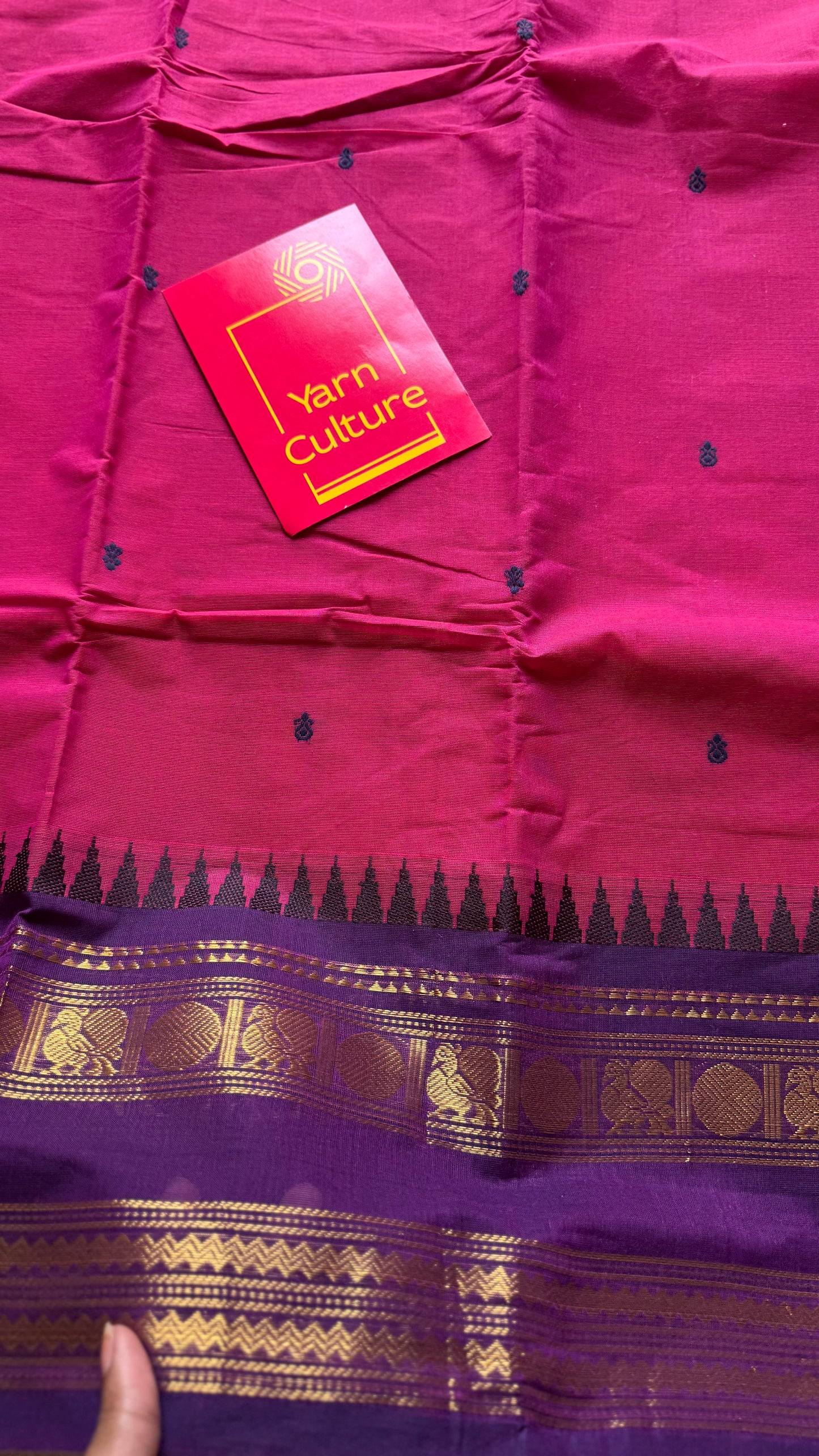 Magenta pink and purple contrast, kanchi cotton saree - YCCOTNMA324
