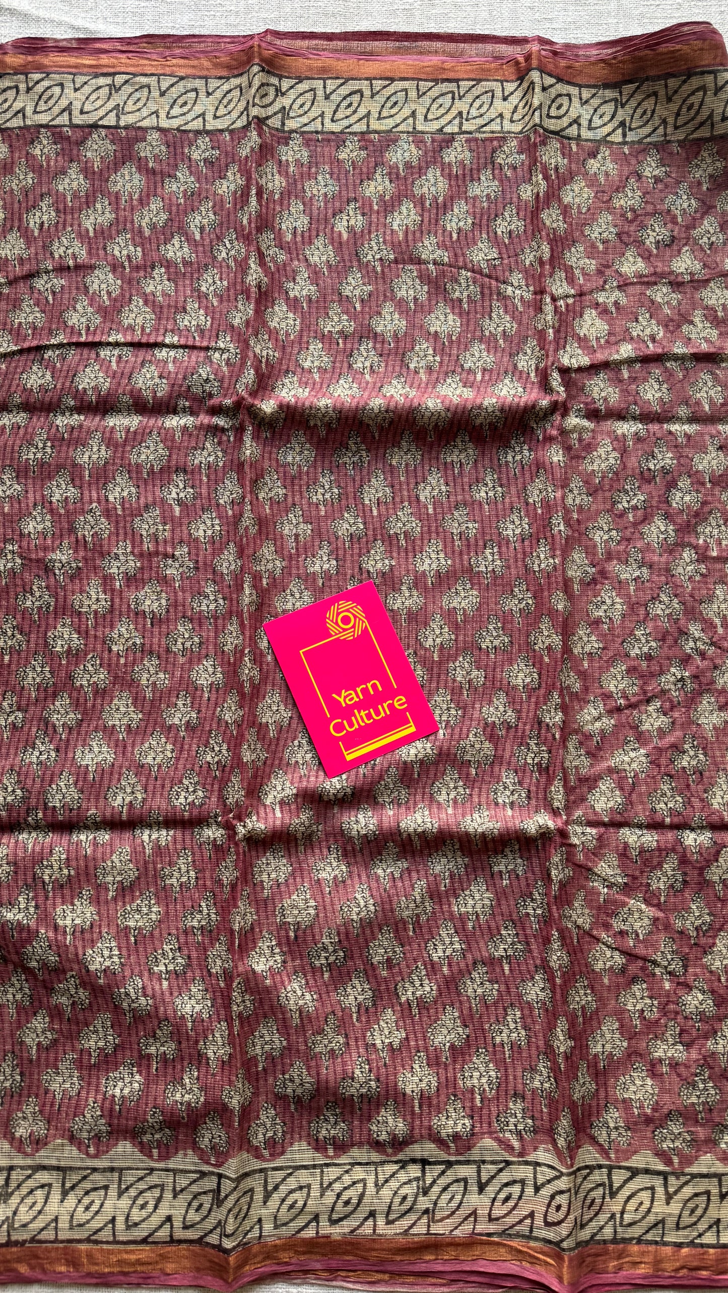 Gulrooh, Kota Doria with zari border - YCTOROCBP76