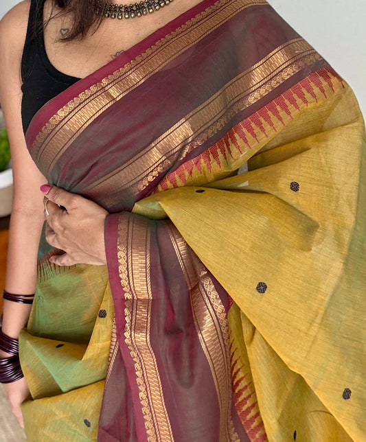 Kanchi cotton saree, light green with brown border - YCCOTNAP85