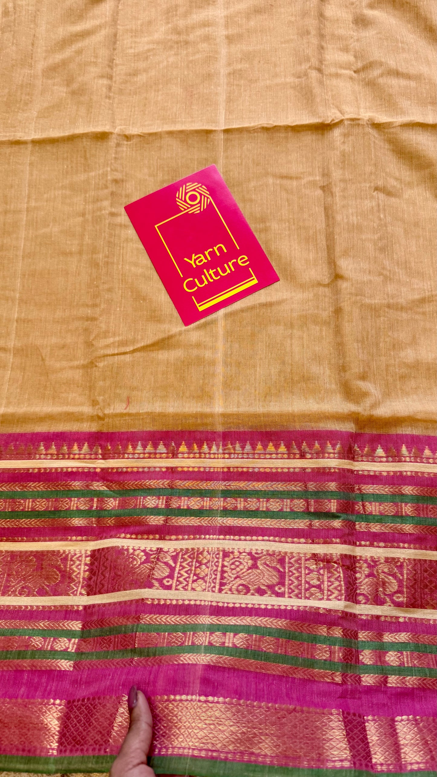 Sandal mul saree, multicoloured wide kanchi border - YCIEON37